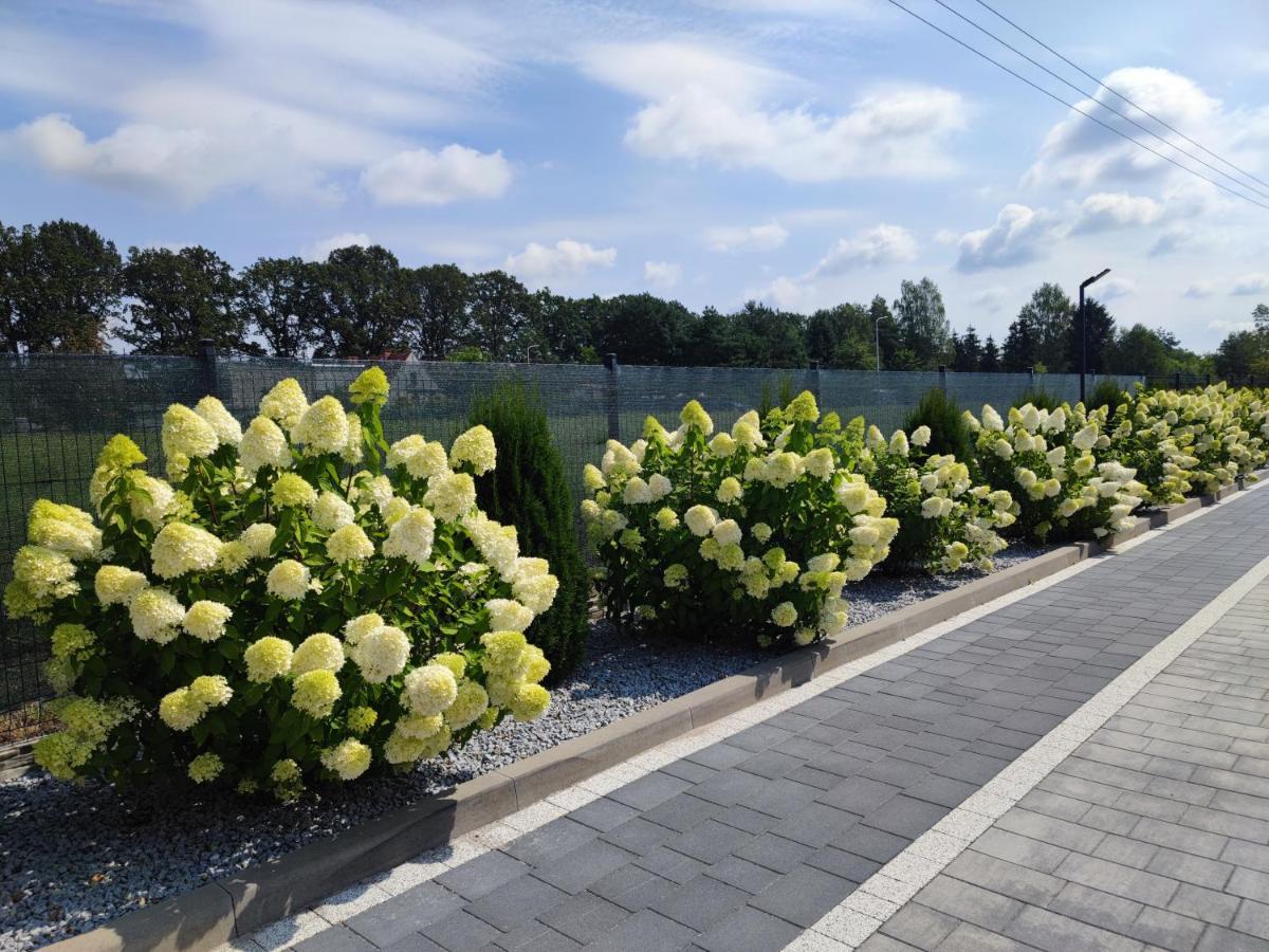 Miodowa Sadyba Domki Caloroczne Kluczbork Ligota Zamecka 外观 照片