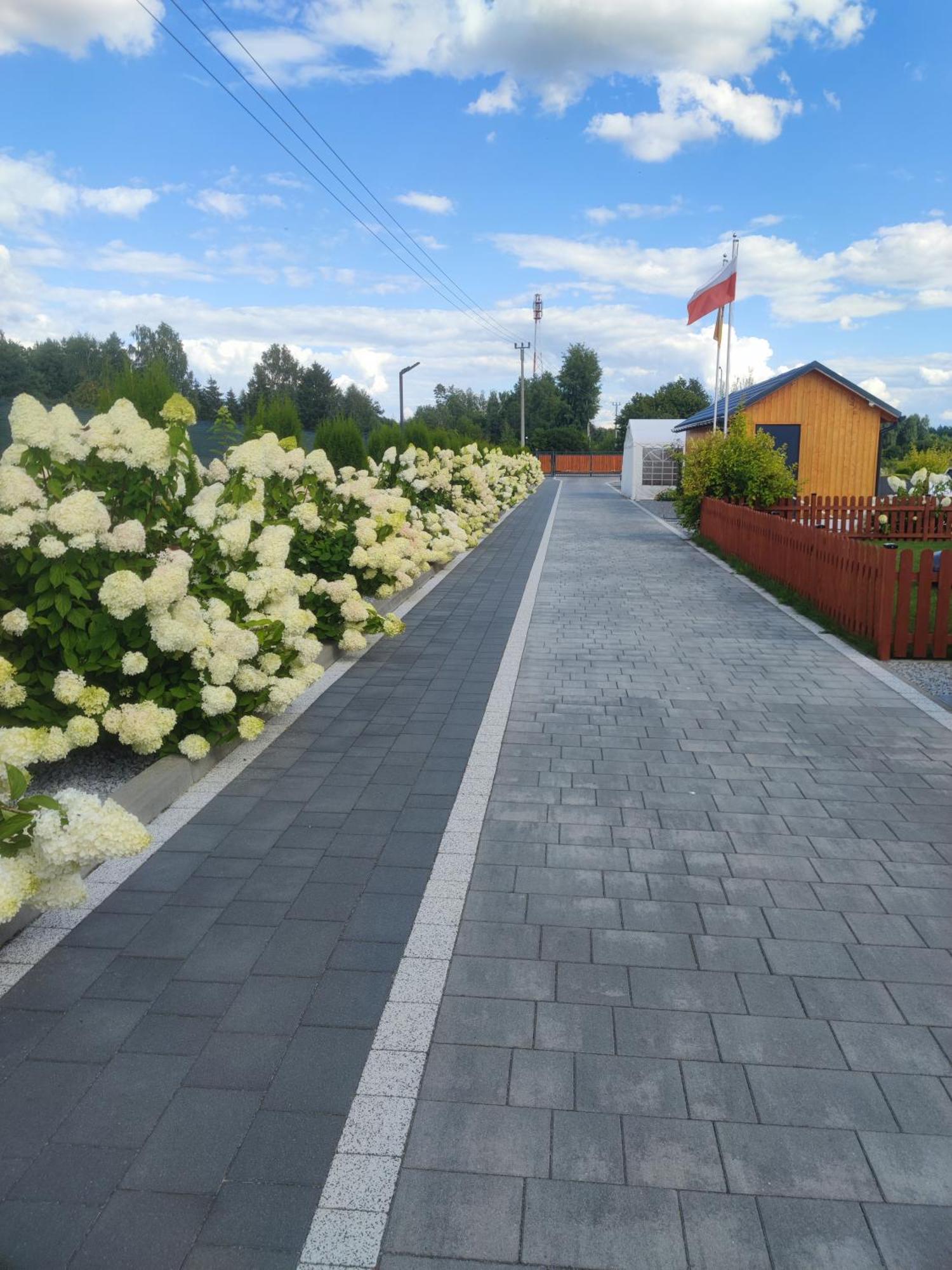 Miodowa Sadyba Domki Caloroczne Kluczbork Ligota Zamecka 外观 照片