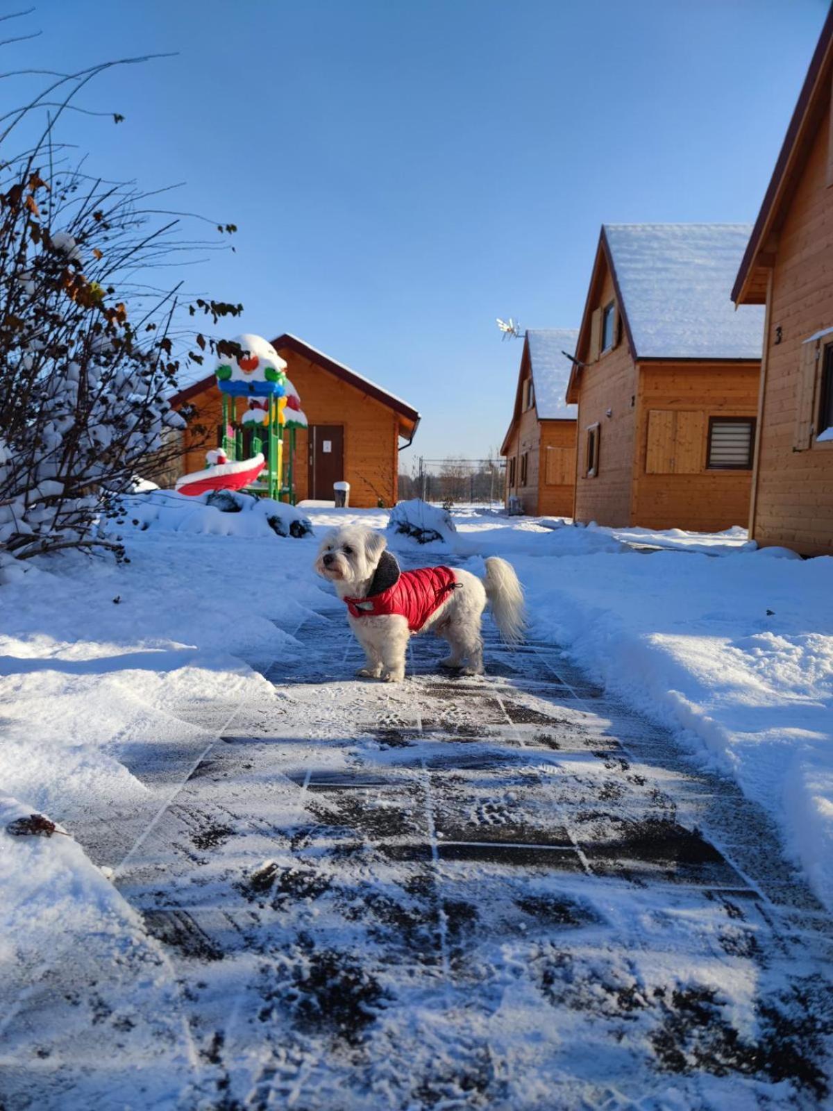 Miodowa Sadyba Domki Caloroczne Kluczbork Ligota Zamecka 外观 照片